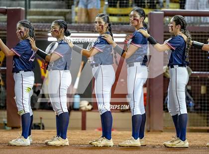 Thumbnail 1 in Perry @ Basha (AIA 6A Final) photogallery.