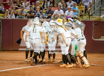 Thumbnail 2 in Perry @ Basha (AIA 6A Final) photogallery.