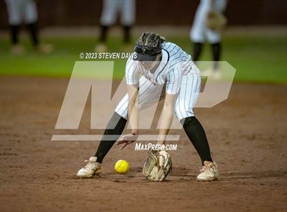 Thumbnail 2 in Perry @ Basha (AIA 6A Final) photogallery.