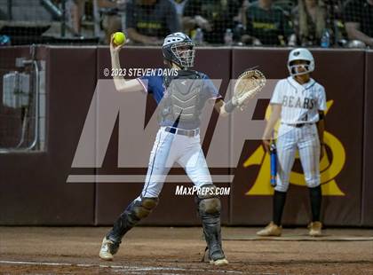 Thumbnail 1 in Perry @ Basha (AIA 6A Final) photogallery.