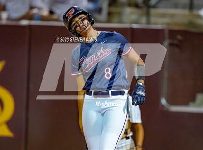 Thumbnail 1 in Perry @ Basha (AIA 6A Final) photogallery.