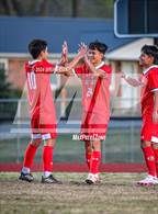 Photo from the gallery "Life Way Christian @ Green Forest"