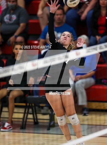 Thumbnail 2 in JV: Columbine @ Eaglecrest photogallery.