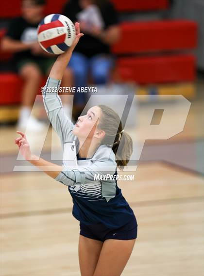 Thumbnail 2 in JV: Columbine @ Eaglecrest photogallery.