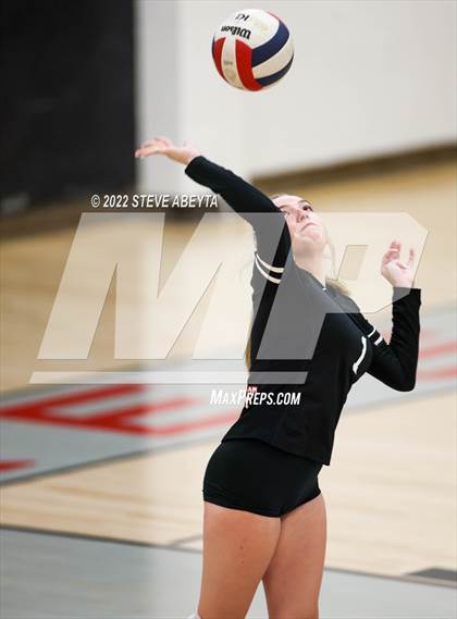 Thumbnail 2 in JV: Columbine @ Eaglecrest photogallery.