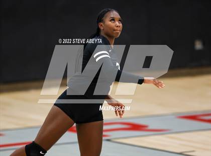 Thumbnail 2 in JV: Columbine @ Eaglecrest photogallery.