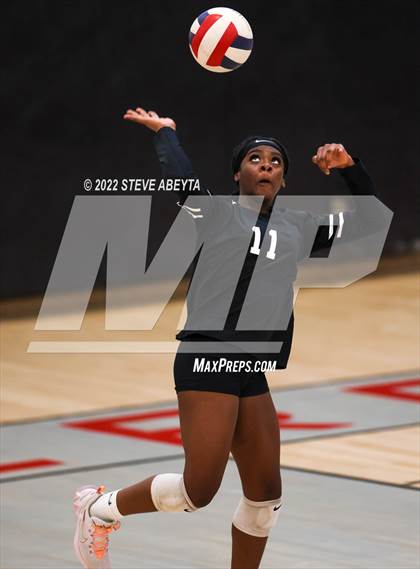 Thumbnail 2 in JV: Columbine @ Eaglecrest photogallery.