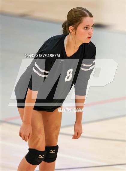 Thumbnail 2 in JV: Columbine @ Eaglecrest photogallery.