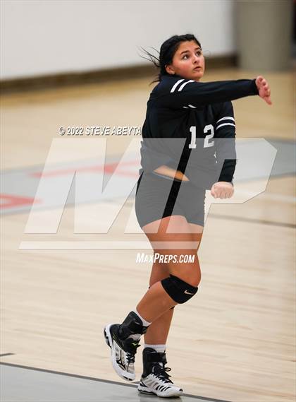 Thumbnail 2 in JV: Columbine @ Eaglecrest photogallery.