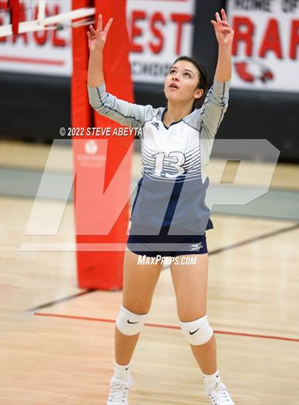 Thumbnail 3 in JV: Columbine @ Eaglecrest photogallery.