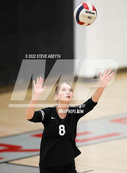 Thumbnail 2 in JV: Columbine @ Eaglecrest photogallery.