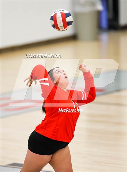 Thumbnail 1 in JV: Columbine @ Eaglecrest photogallery.