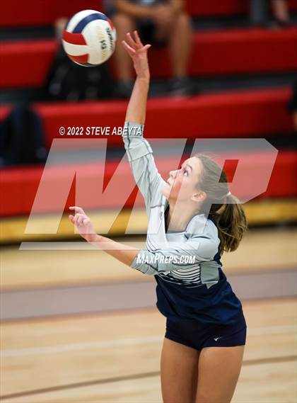 Thumbnail 3 in JV: Columbine @ Eaglecrest photogallery.