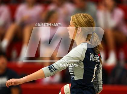 Thumbnail 2 in JV: Columbine @ Eaglecrest photogallery.