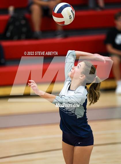 Thumbnail 2 in JV: Columbine @ Eaglecrest photogallery.