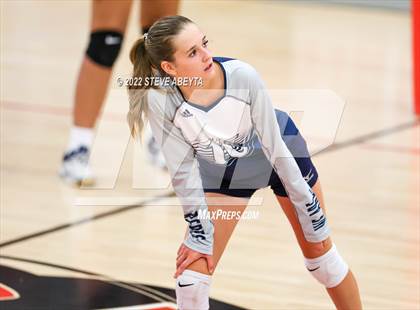 Thumbnail 3 in JV: Columbine @ Eaglecrest photogallery.