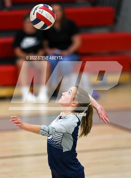 Thumbnail 1 in JV: Columbine @ Eaglecrest photogallery.