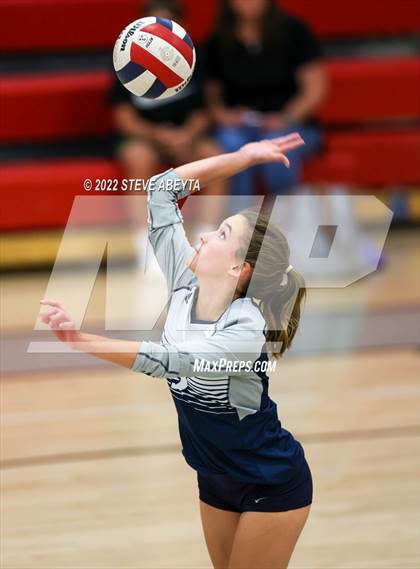 Thumbnail 2 in JV: Columbine @ Eaglecrest photogallery.