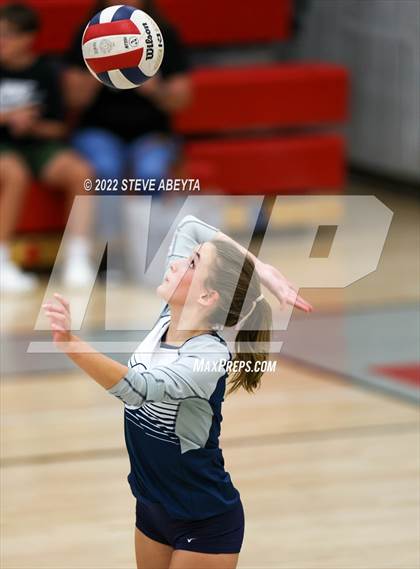 Thumbnail 1 in JV: Columbine @ Eaglecrest photogallery.
