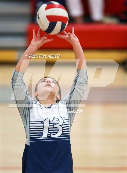 Thumbnail 2 in JV: Columbine @ Eaglecrest photogallery.