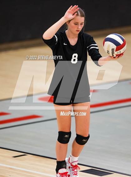 Thumbnail 3 in JV: Columbine @ Eaglecrest photogallery.