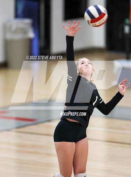 Thumbnail 3 in JV: Columbine @ Eaglecrest photogallery.