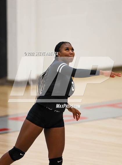 Thumbnail 3 in JV: Columbine @ Eaglecrest photogallery.