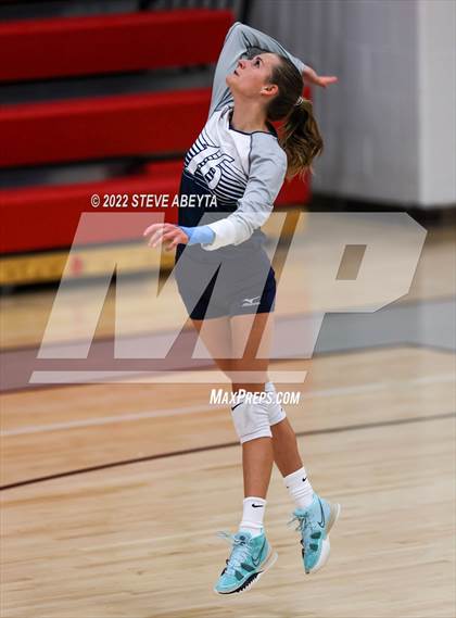 Thumbnail 3 in JV: Columbine @ Eaglecrest photogallery.