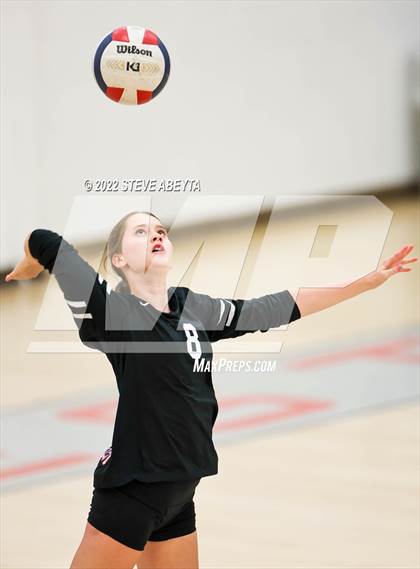 Thumbnail 3 in JV: Columbine @ Eaglecrest photogallery.
