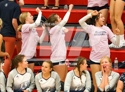 Thumbnail 2 in JV: Columbine @ Eaglecrest photogallery.