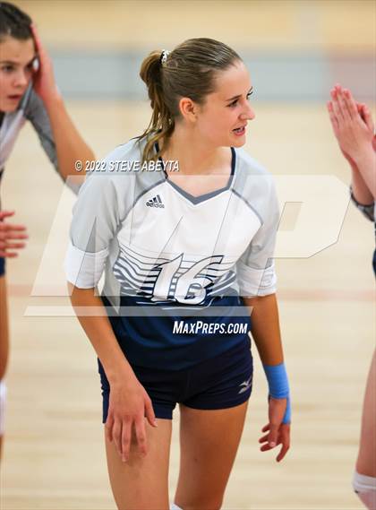 Thumbnail 3 in JV: Columbine @ Eaglecrest photogallery.