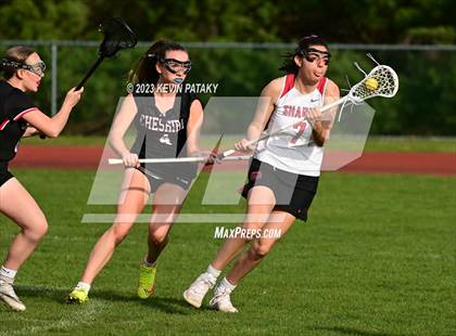 Thumbnail 1 in Cheshire @ Sacred Heart Academy photogallery.