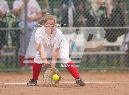 Thumbnail 1 in Auburn vs Fulton photogallery.