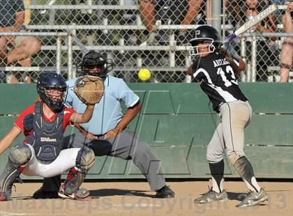 Thumbnail 1 in Antelope vs. Pioneer (CIF SJS D3 Final - Game 1) photogallery.