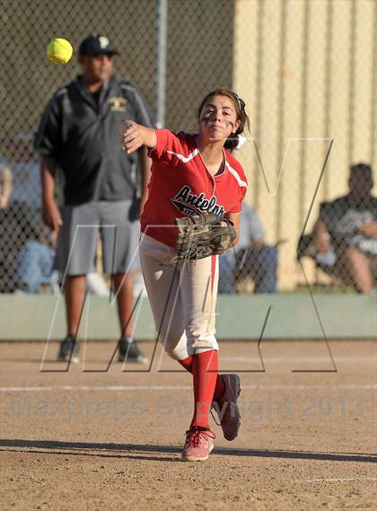 Thumbnail 3 in Antelope vs. Pioneer (CIF SJS D3 Final - Game 1) photogallery.