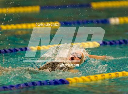 Thumbnail 2 in UIL 4A Swimming and Diving (Prelim) photogallery.