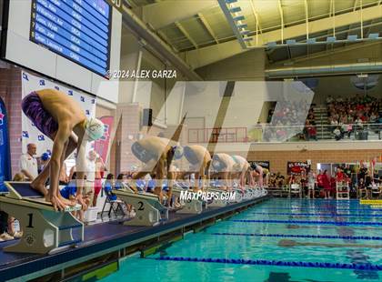 Thumbnail 3 in UIL 4A Swimming and Diving (Prelim) photogallery.