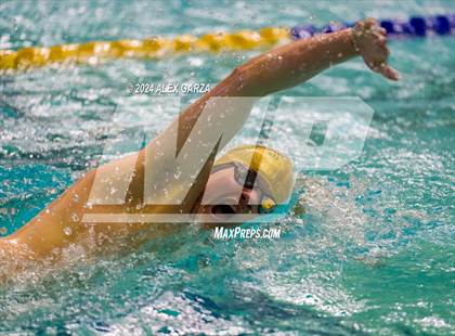 Thumbnail 2 in UIL 4A Swimming and Diving (Prelim) photogallery.