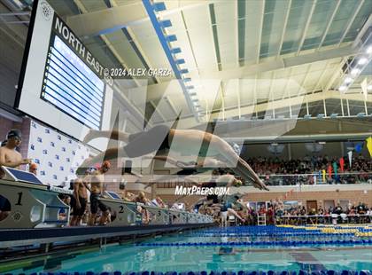 Thumbnail 3 in UIL 4A State Varsity Swim and Dive Prelims photogallery.