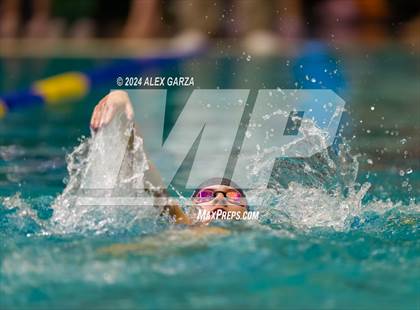 Thumbnail 1 in UIL 4A Swimming and Diving (Prelim) photogallery.