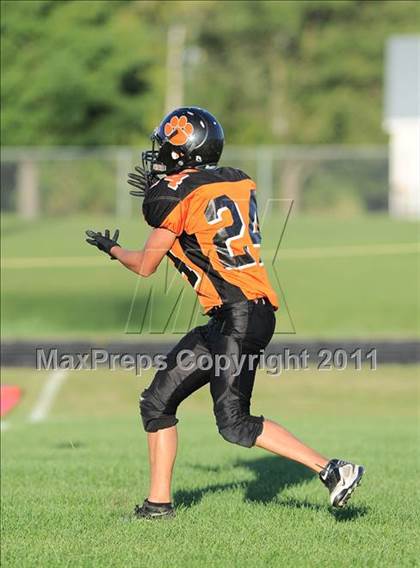 Thumbnail 2 in Clayton @ Webster photogallery.