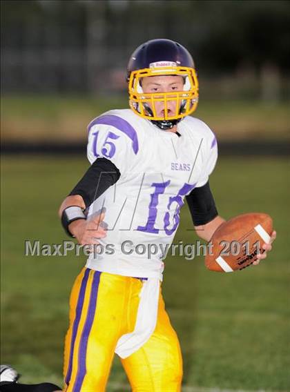 Thumbnail 1 in Clayton @ Webster photogallery.