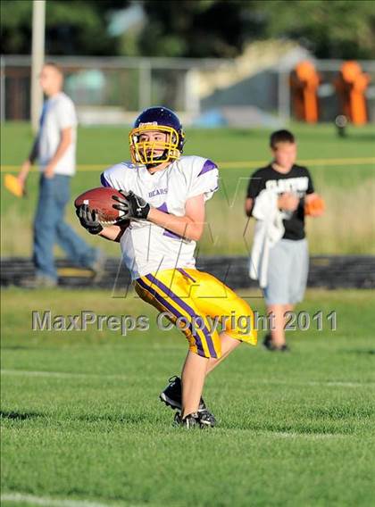 Thumbnail 1 in Clayton @ Webster photogallery.