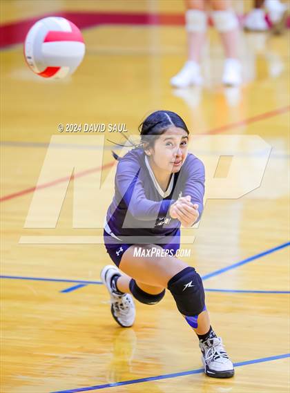 Thumbnail 2 in Widefield @ Sand Creek photogallery.