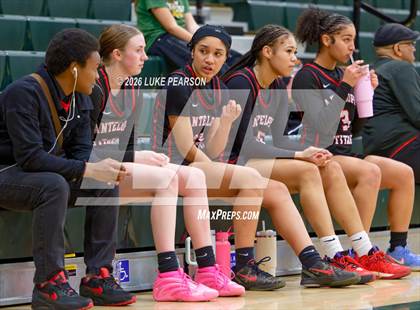 Thumbnail 2 in Antelope @ Kennedy photogallery.