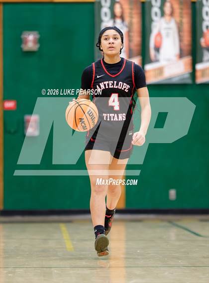 Thumbnail 2 in Antelope @ Kennedy photogallery.