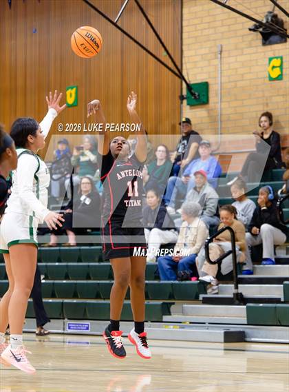 Thumbnail 3 in Antelope @ Kennedy photogallery.