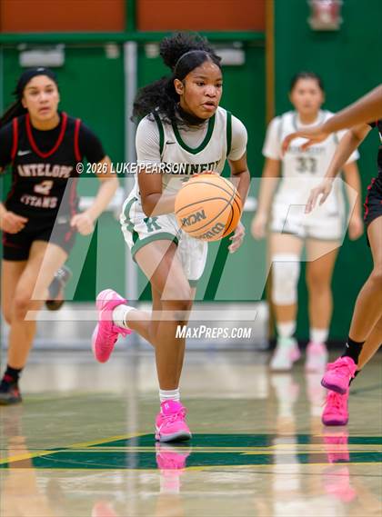 Thumbnail 2 in Antelope @ Kennedy photogallery.