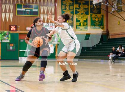 Thumbnail 3 in Antelope @ Kennedy photogallery.