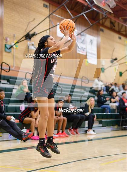 Thumbnail 1 in Antelope @ Kennedy photogallery.